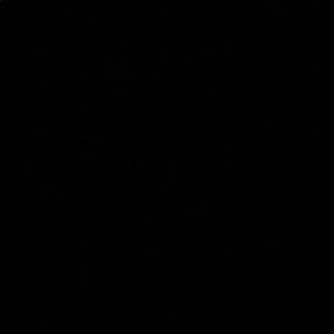 Meet your Posher, Liam